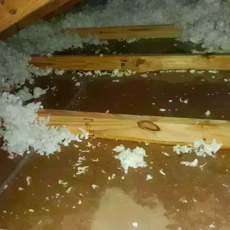 Attic Water Damage in Coney Island, NY