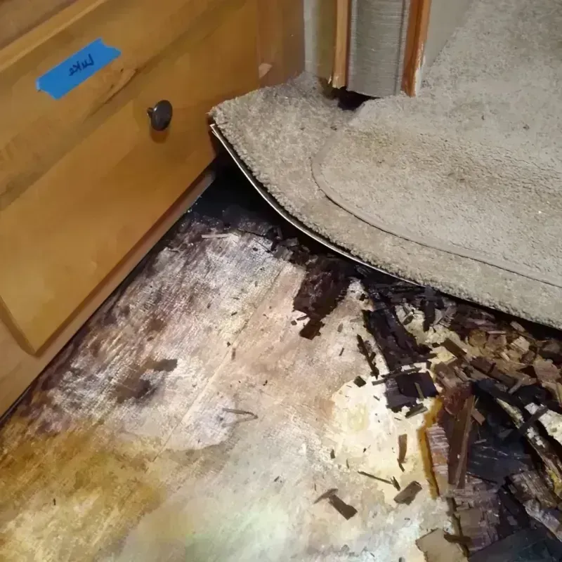 Wood Floor Water Damage in Coney Island, NY